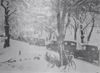 Fiat Balilla in colonna sulla strada verso Castello Cabiaglio - anni 30 
