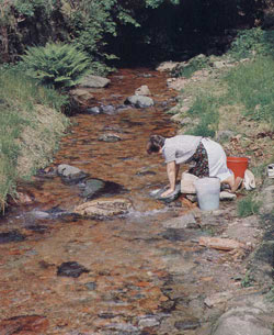 Il risciacquo dei panni al fiume (Brinzio)